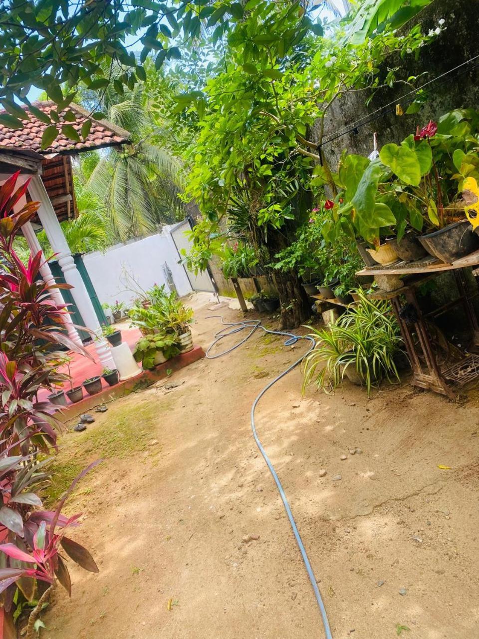 Perfect Home มิริสซา ภายนอก รูปภาพ